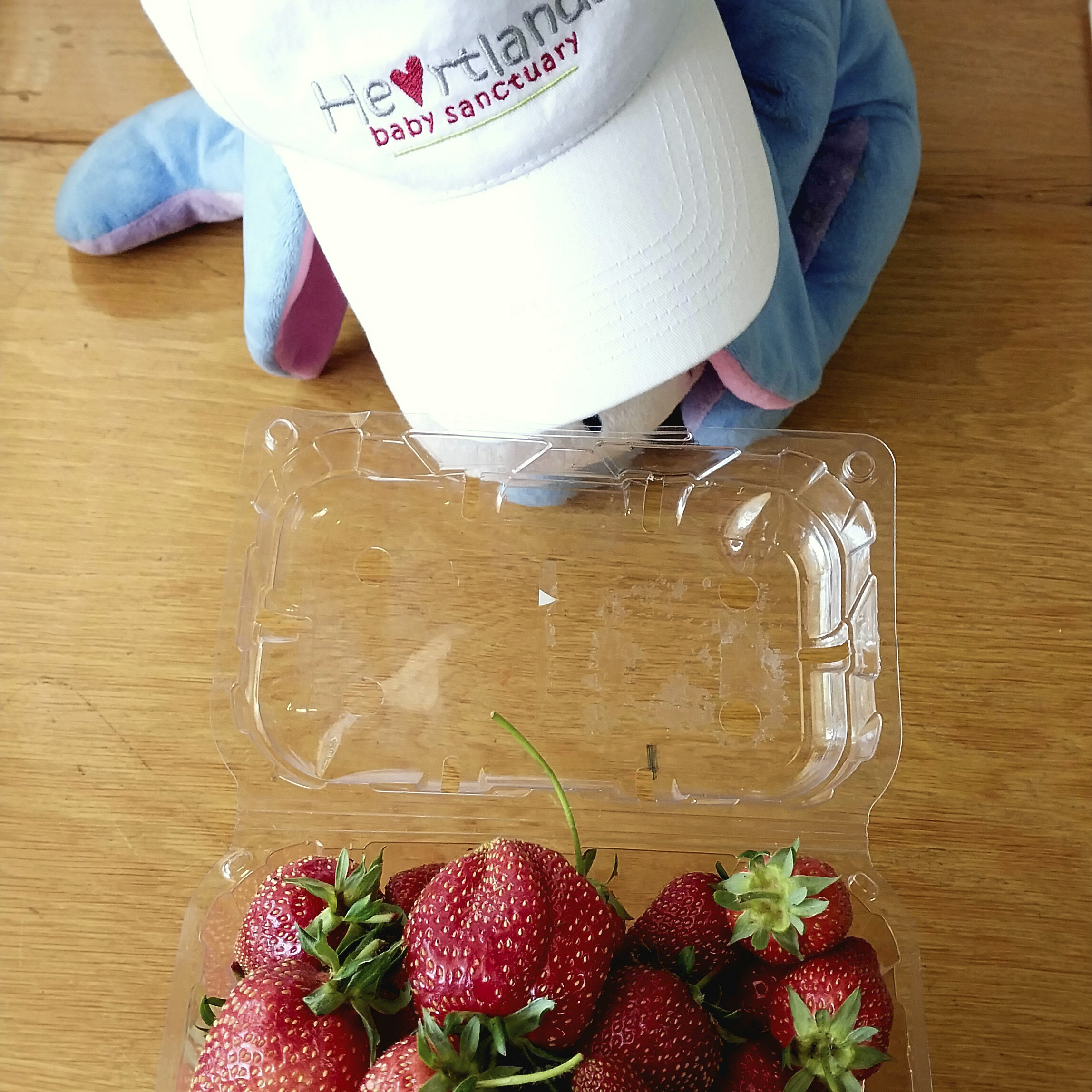 Strawberries Nov 2023