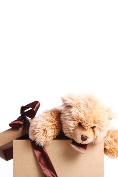Cute Teddy Bear in the gift box against white background